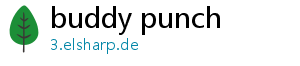 buddy punch